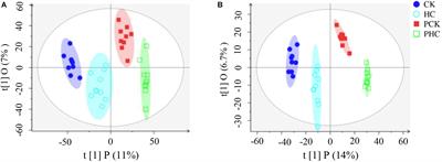 Metabolomic and Proteomic Profiles Associated With Ketosis in Dairy Cows